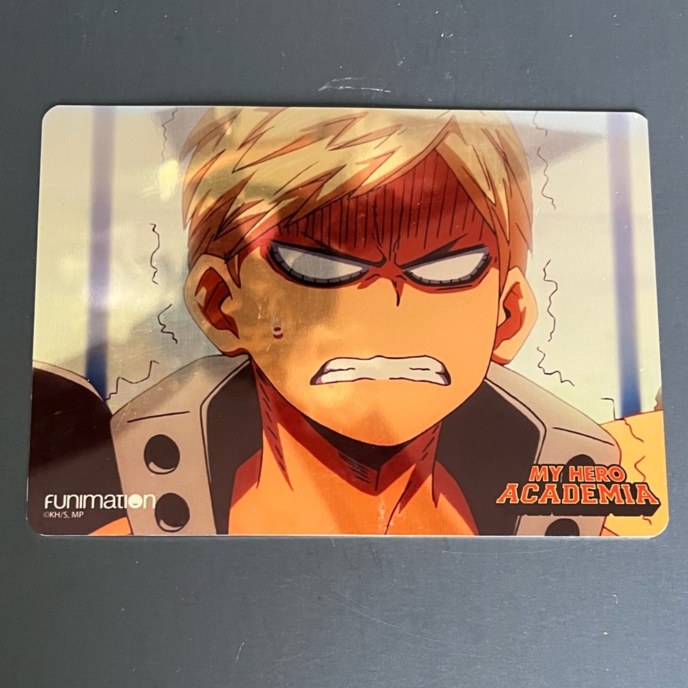 My Hero Academia Bakugo Metal Picture